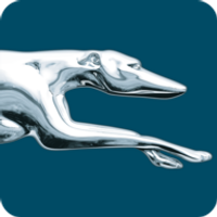 Greyhound icon
