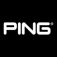 Ping Identity icon