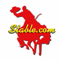 Stable Diffusion / Stability AI logo