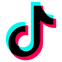 TikTok Ads icon